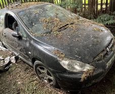 peugeot 307 breaking