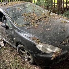 peugeot 307 breaking