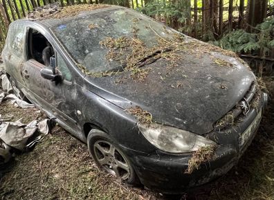 peugeot 307 breaking