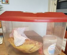 fish tank