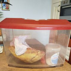 fish tank