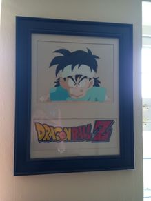 Picture Dragonball