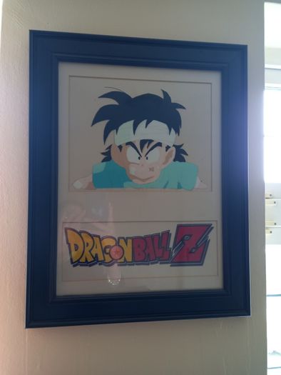 Picture Dragonball