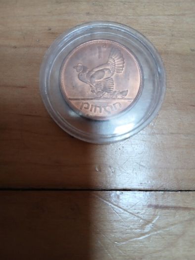 ITGWU lapel pin & Mint Irish penny