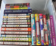 Dairy of the Wimpy kid books bundle and more