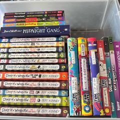 Dairy of the Wimpy kid books bundle and more