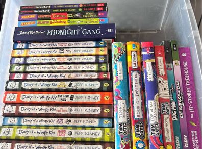 Dairy of the Wimpy kid books bundle and more