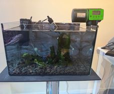 Fish Tank Complete Setup 27L Aquarel Aquarium