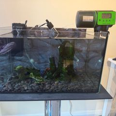 Fish Tank Complete Setup 27L Aquarel Aquarium