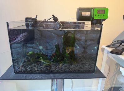 Fish Tank Complete Setup 27L Aquarel Aquarium