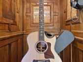 Taylor 816ce 2022