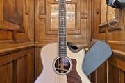 Taylor 816ce 2022