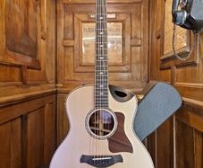 Taylor 816ce 2022