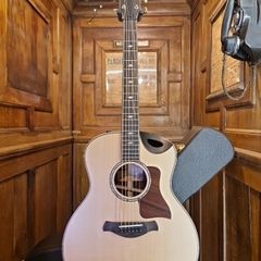 Taylor 816ce 2022