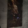 Terria Devin Townsend double vinyl Image 3