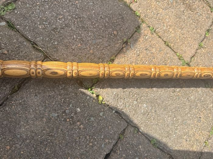 walking stick