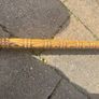 walking stick Image 2