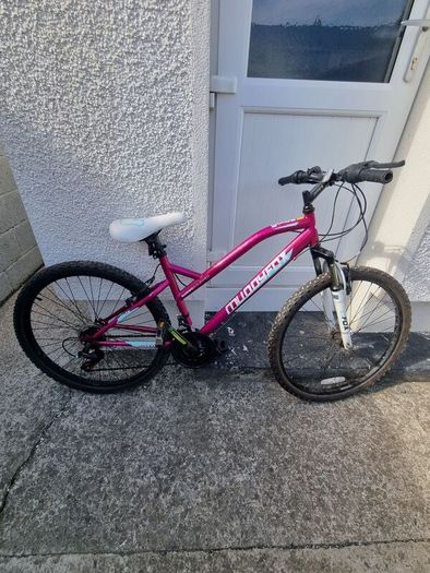 Bicycle in Very Good Condition