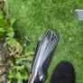 Titleist T100s 4 Iron Image 2