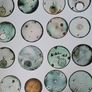 Selection of 24 Antique Pocket Dials Image 8