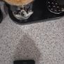Screen in perfect condition and with s pen and mag safe case Image 7