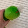 Vintage Playmakers Green Tweety Bird Plush approx. 22 cm. (without legs) Used Please see photos Image 9
