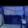 480L fish tank. Image 6
