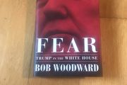 Fear   Trump in the White House