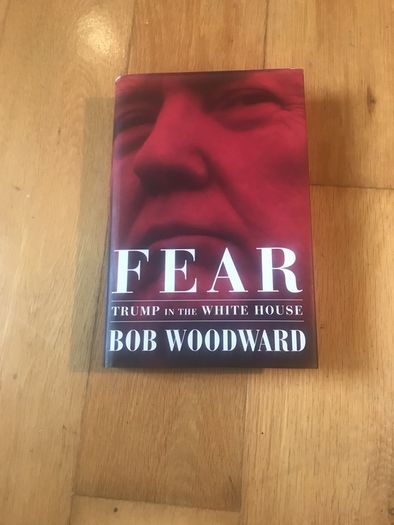 Fear   Trump in the White House