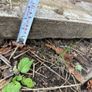 Greenheart wood hardwood beam/timber Image 2