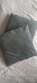 2 sage cushions