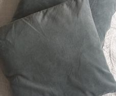 2 sage cushions