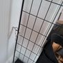 Babylo Fireguard Image 2