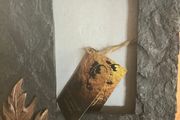 Newgrange Frame