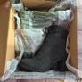 Timberland boots Image 5