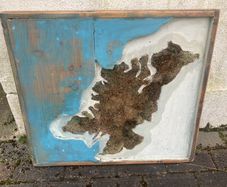 Donegal moss map