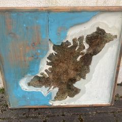 Donegal moss map