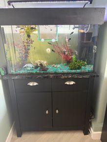 Fish Tank