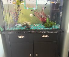 Fish Tank
