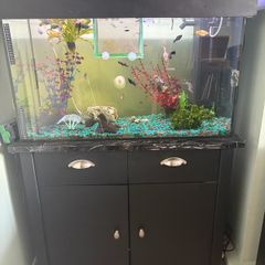 Fish Tank