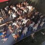 Schleich Horses, Stable, Play set and Accessories Image 3