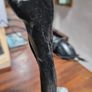 Irish sculpture made from ancient bog oak Image 4