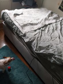 Electric Bed for sale