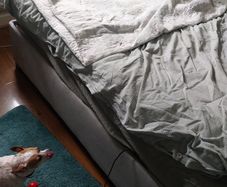 Electric Bed for sale