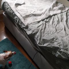 Electric Bed for sale