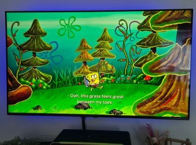 LG 55" NanoCell 4K Smart TV - Pristine Condition