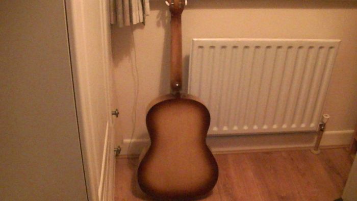 LARK Guitar