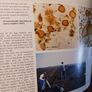 A Long-Lived Wilderness/ The Future of the North Midlands Peatland Network/ John Feehan/ 2005 Image 8