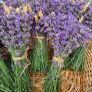 health and beauty Lavanda Essential oil and Lavanda Water toner Image 2