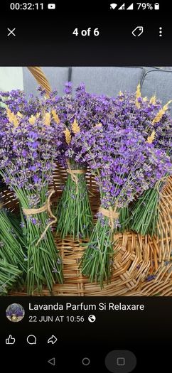 health and beauty Lavanda Essential oil and Lavanda Water toner
